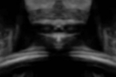 Situs Paranormal Crucible mengklaim menemukan gambar ini, yang disebut sebagai sosok alien, dari balik lukisan Mona Lisa